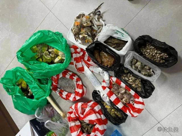 白带鱼钓获 宁波市 1.5kg