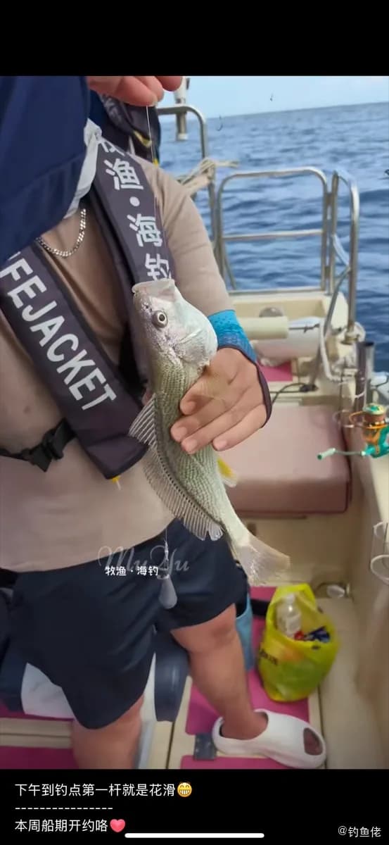 白姑鱼钓获 深圳市 1.1kg