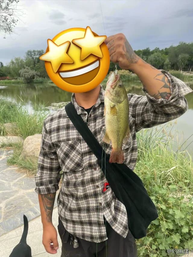 大口黑鲈钓获 银川市 0.5kg