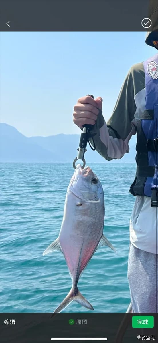 黑尻鲹钓获 深圳市 3.9kg