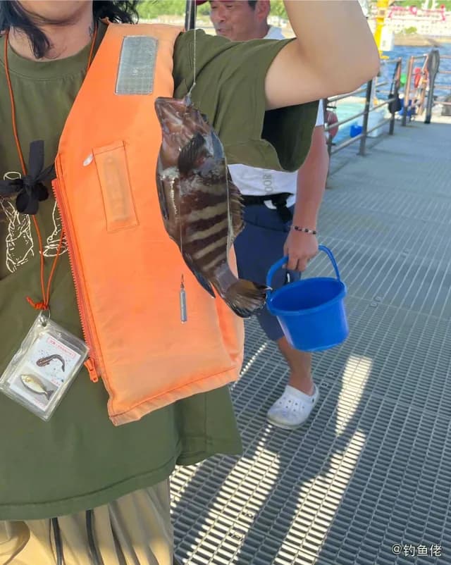 横纹九棘鲈钓获 上海市 0.4kg