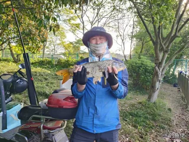 红棘裸颊鲷钓获 上海市 0.5kg
