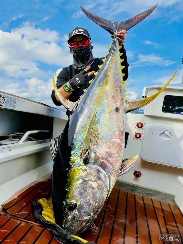 黄鳍金枪鱼钓获 南宁市 120.7kg