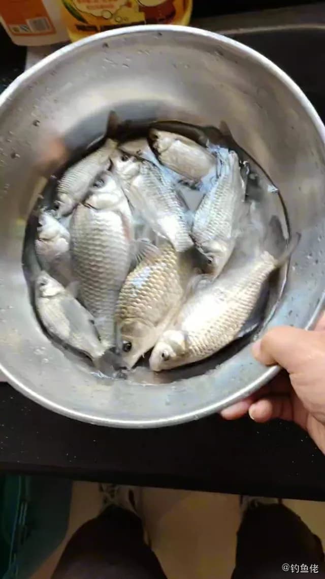 鲫鱼钓获 南通市 0.3kg