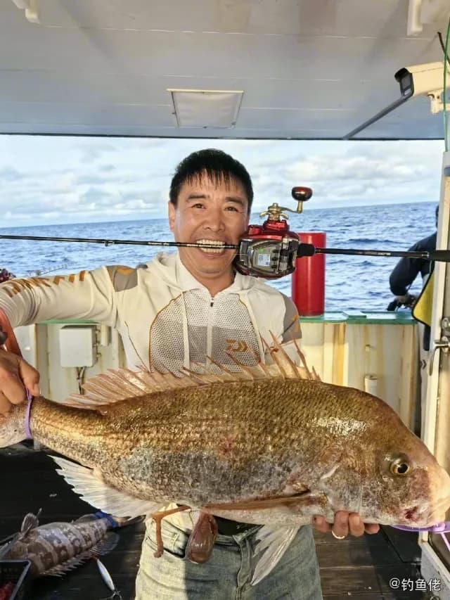 金头鲷钓获 中华人民共和国 13.2kg