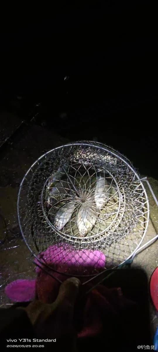 魔鬼蓑鲉钓获 岳阳市 0.11kg