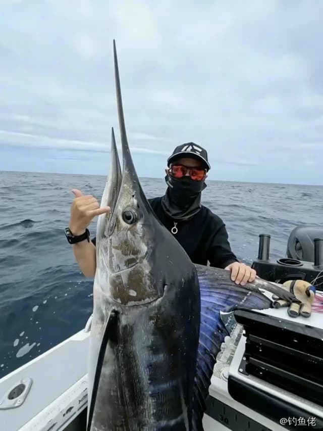 平鳍旗鱼钓获 南宁市 103.05kg