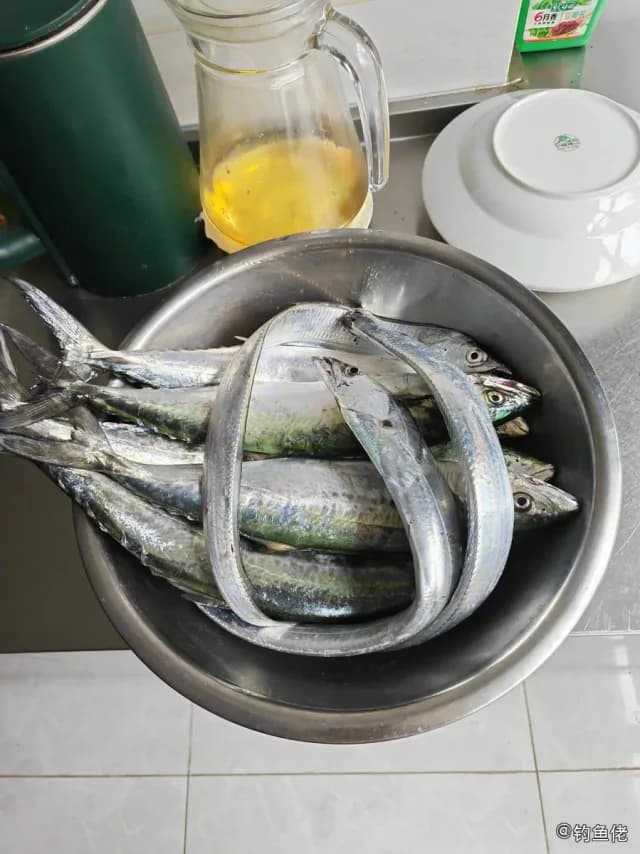 秋刀鱼钓获 秦皇岛市 0.12kg