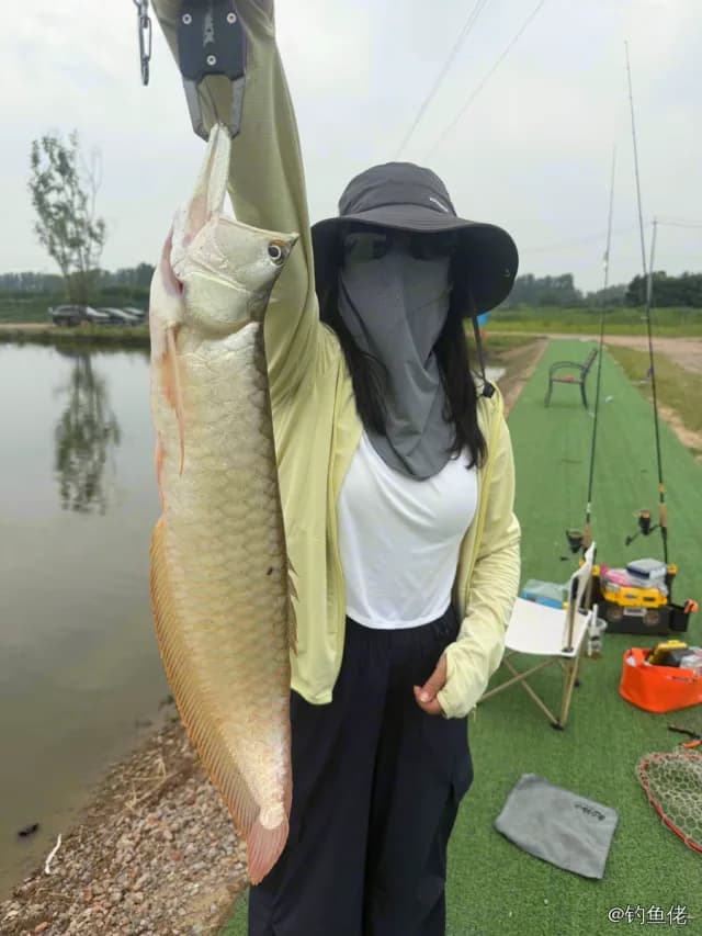 双须骨舌鱼钓获 北京市 2kg