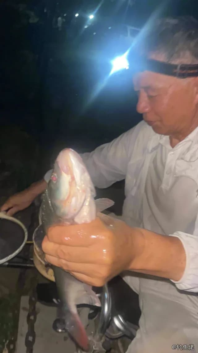 田中狮子鱼钓获 上海市 0.1kg