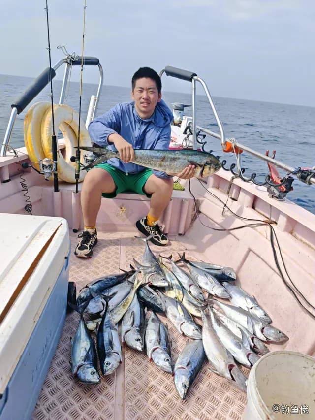 鲔鱼钓获 惠州市 3.5kg