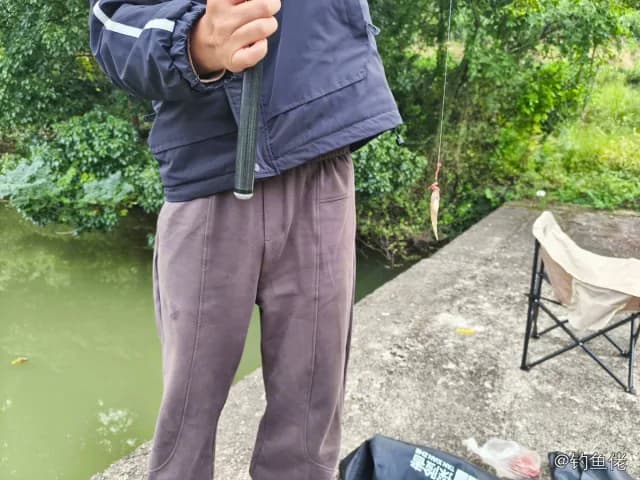 溪吻虾虎鱼钓获 合肥市 