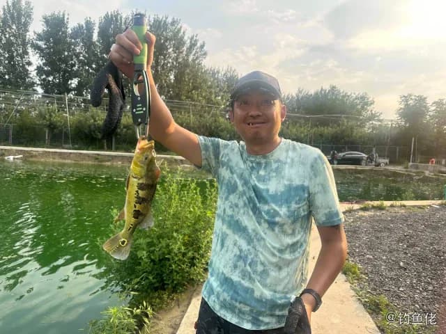 眼点丽鱼钓获 北京市 0.3kg