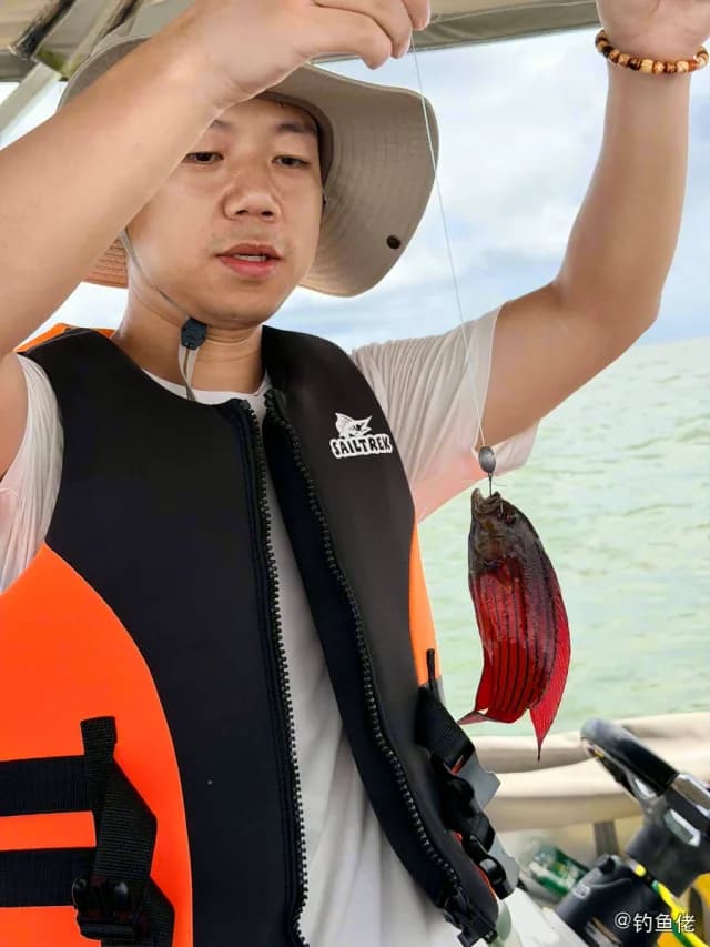 圆眼戴氏鱼钓获 海南省 0.8kg