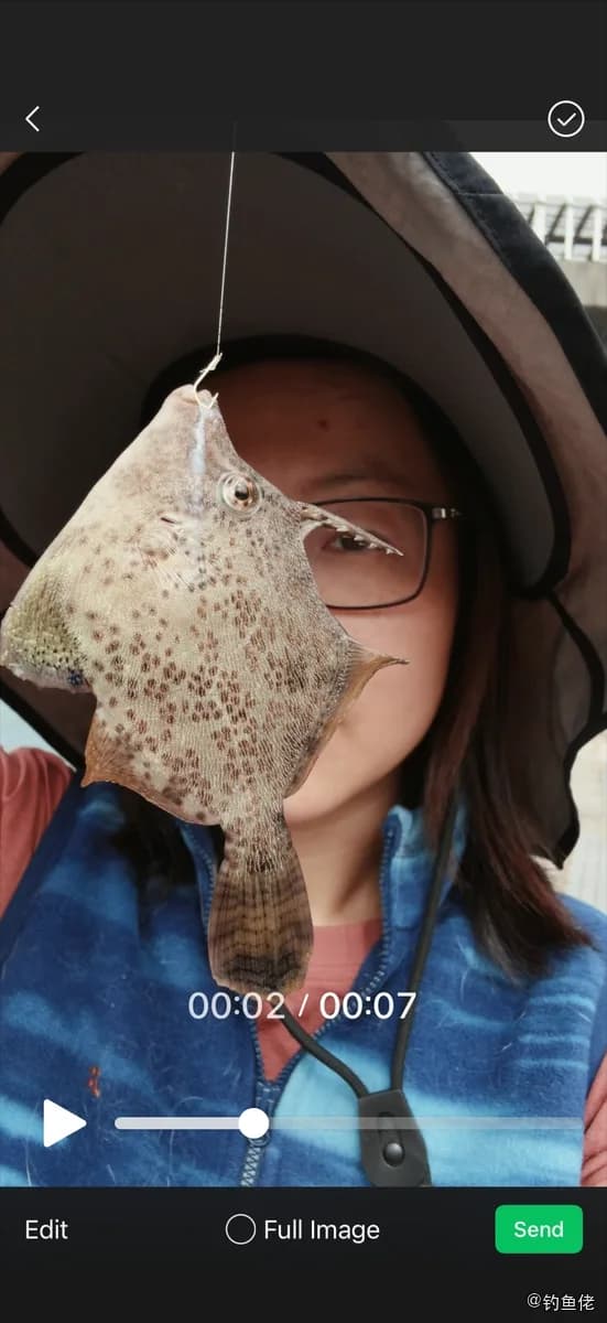 中华单角鲀钓获 香港特别行政区 0.4kg