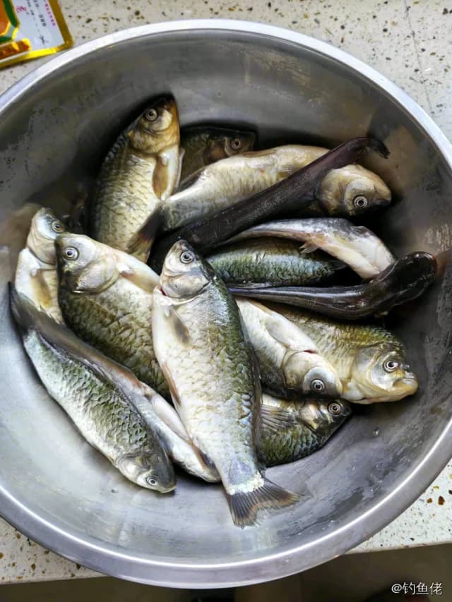 鲫鱼钓获 0.45kg