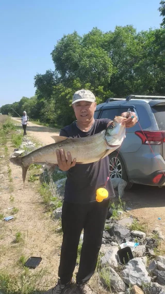 翘嘴鲌钓获 4.4kg
