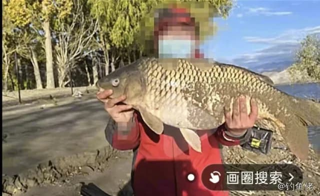 鲤鱼钓获 6.7kg