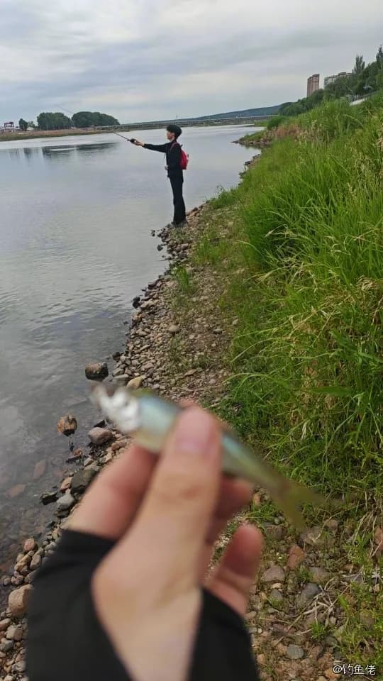 马口鱼钓获 1kg