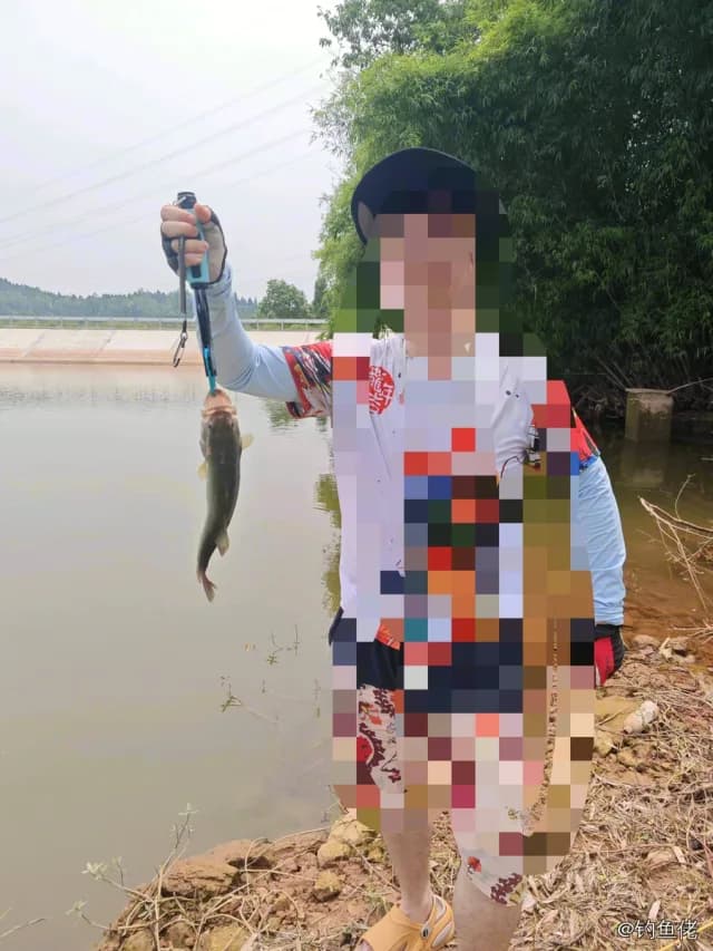 大口黑鲈钓获 0.8kg