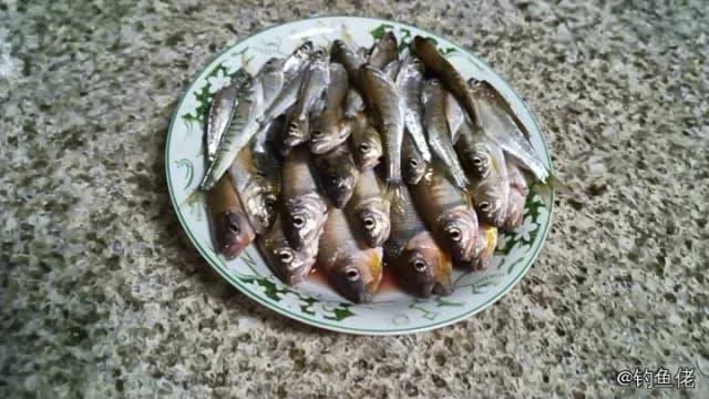 蓝圆鲹钓获 0.06kg
