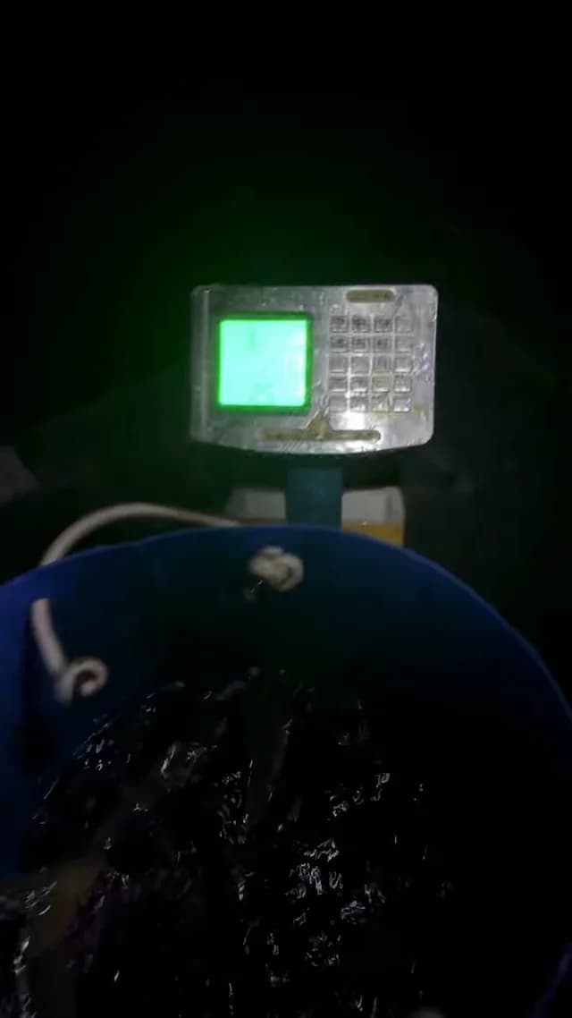 鲤鱼钓获 12kg