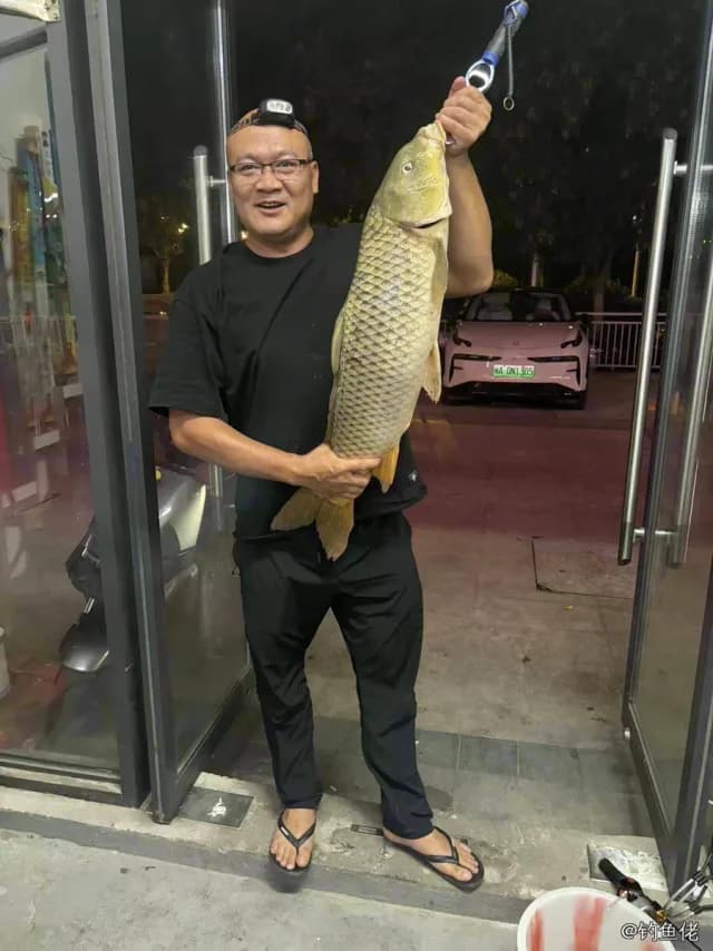 鲤鱼钓获 14.6kg