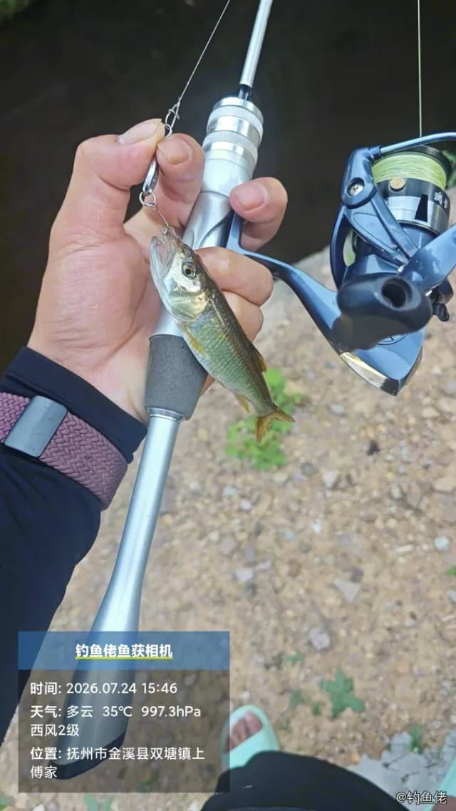 马口鱼钓获 0.3kg