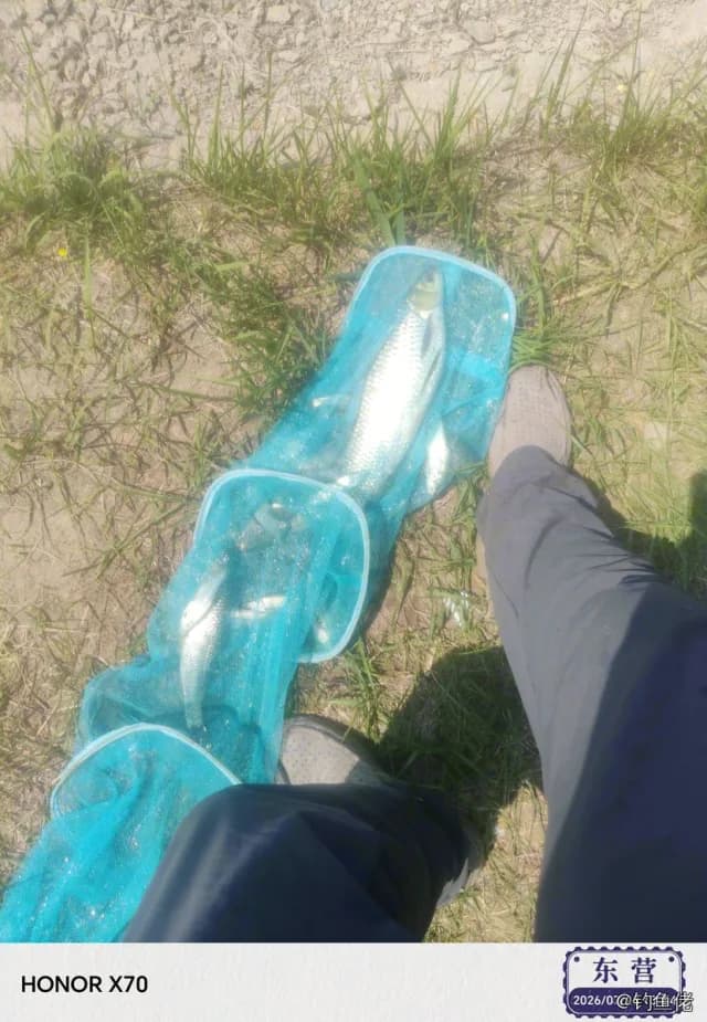 鲫鱼钓获 0.8kg