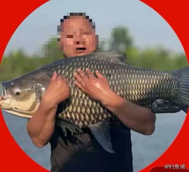鲫鱼钓获 3kg