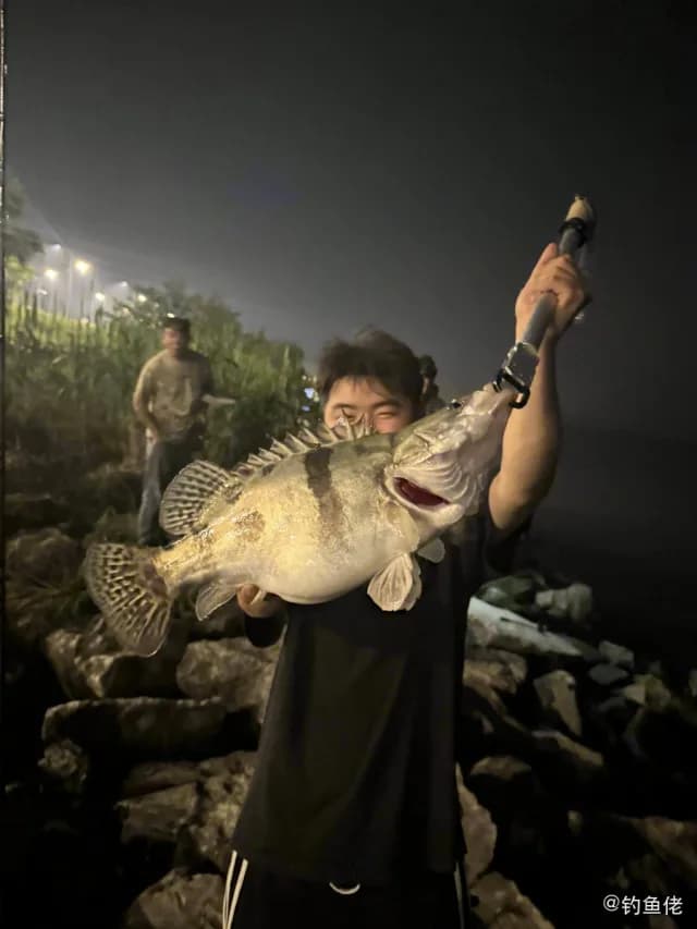 鳜鱼钓获 1.85kg