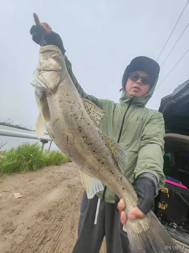 中国花鲈钓获 9.1kg