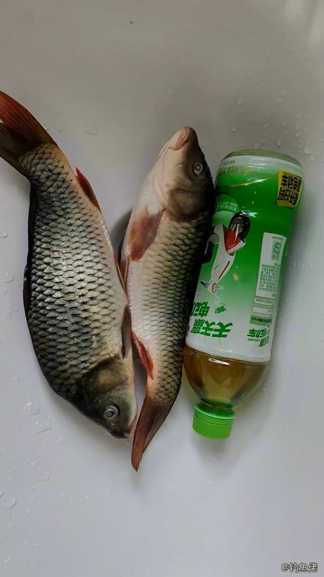 鲤鱼钓获 0.7kg