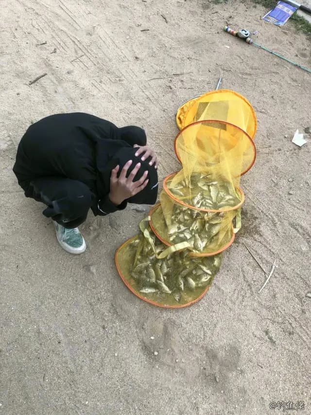 鲫鱼钓获 1kg