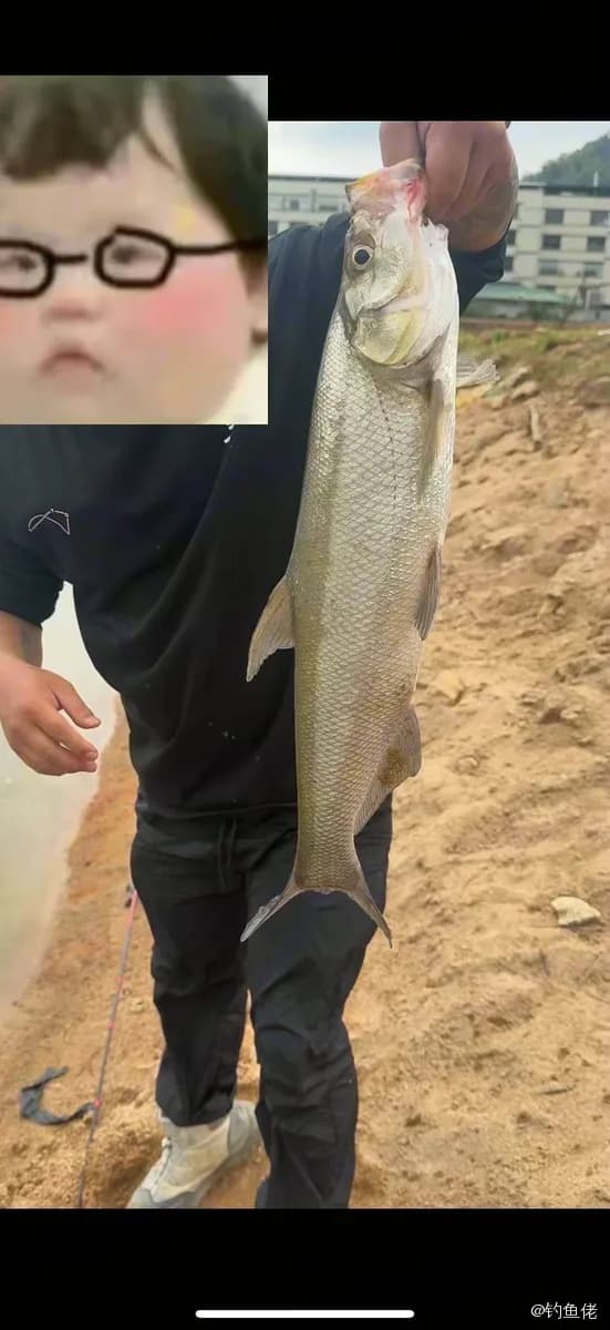 翘嘴鲌钓获 2.1kg
