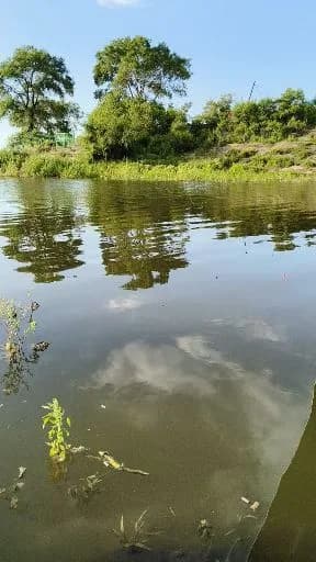锦鲤钓获 4kg