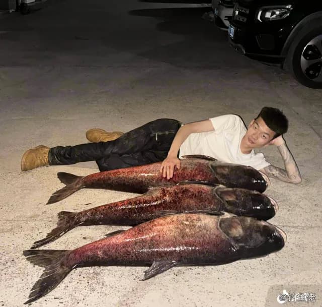 鲢鱼钓获 4kg