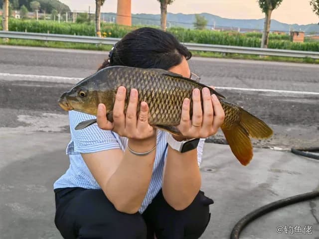 鲤鱼钓获 1.9kg