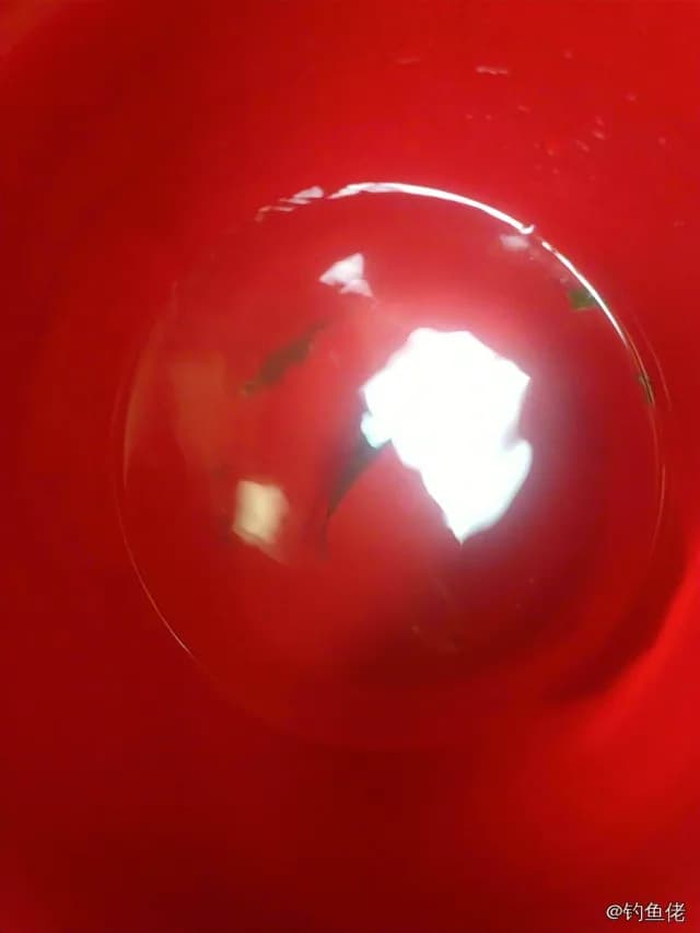 鲫鱼钓获 0.2kg