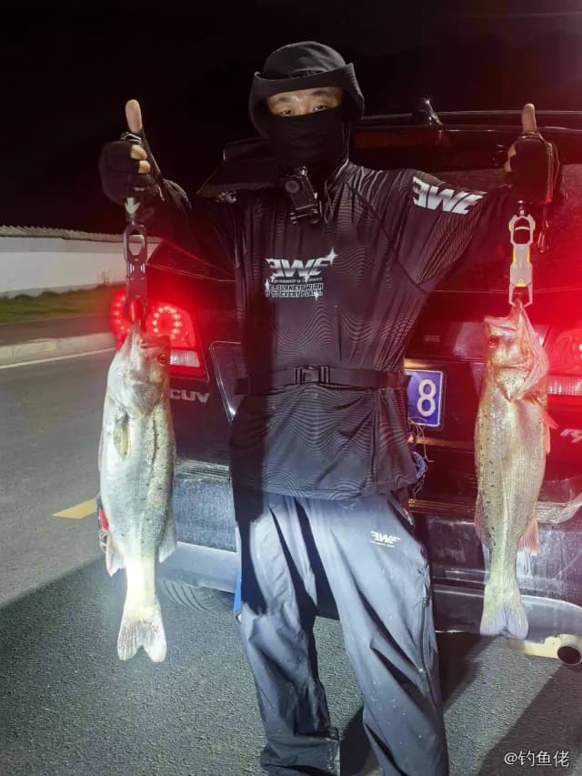 中国花鲈钓获 2.7kg