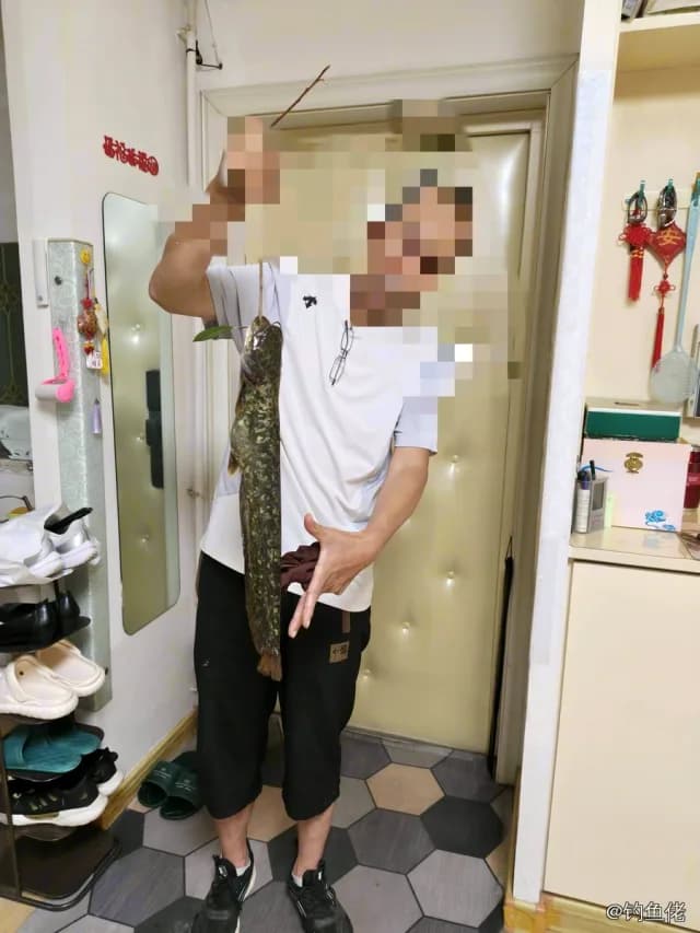 鲶鱼钓获 3kg