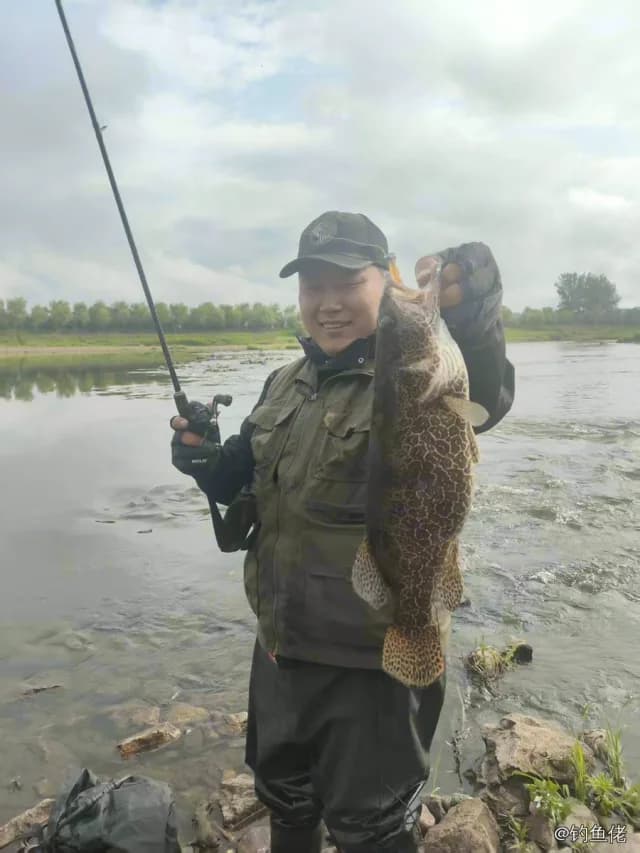 斑鳜钓获 1kg