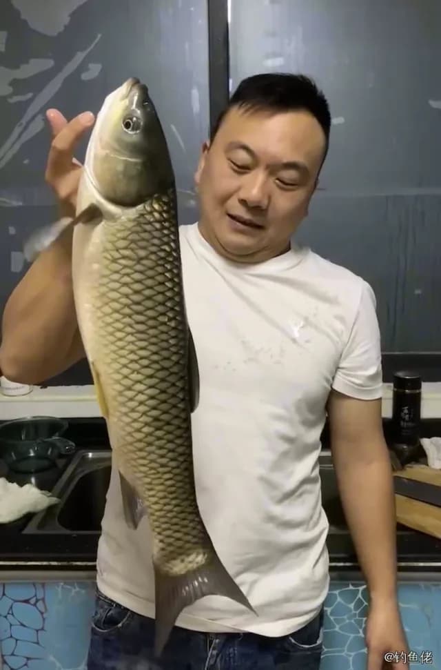 草鱼钓获 3kg