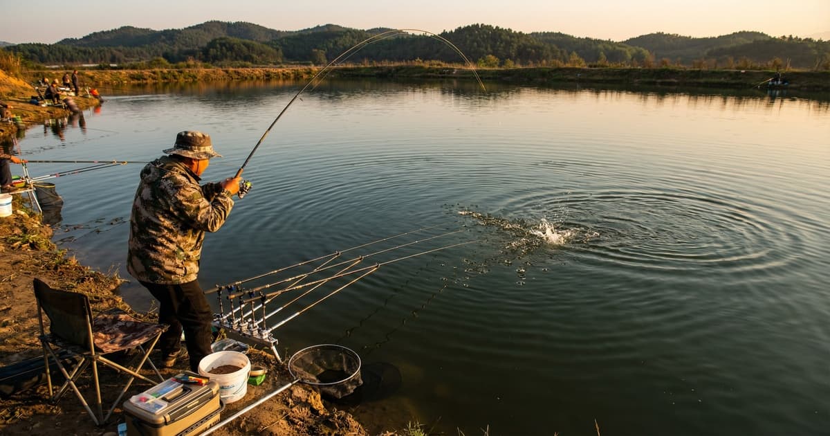 黑坑新塘鱼开跑技巧：怎么第一时间抓住爆口