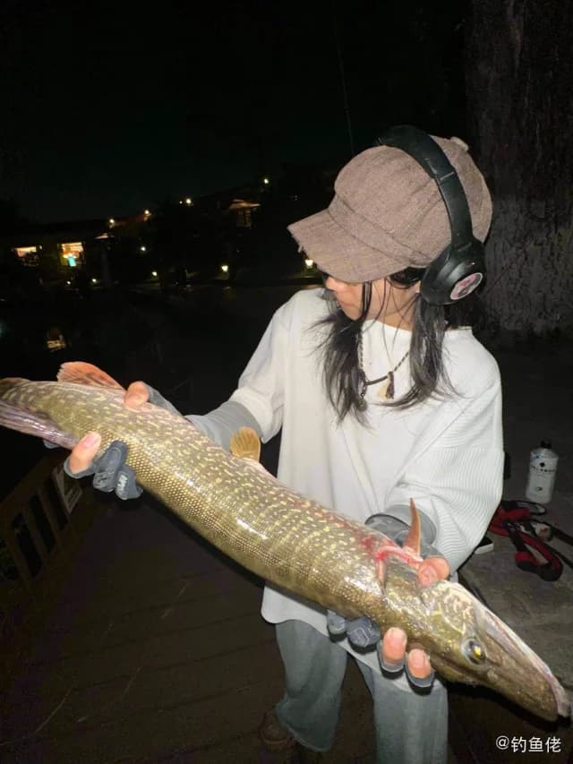 白斑狗鱼钓获 南京市 3.5kg