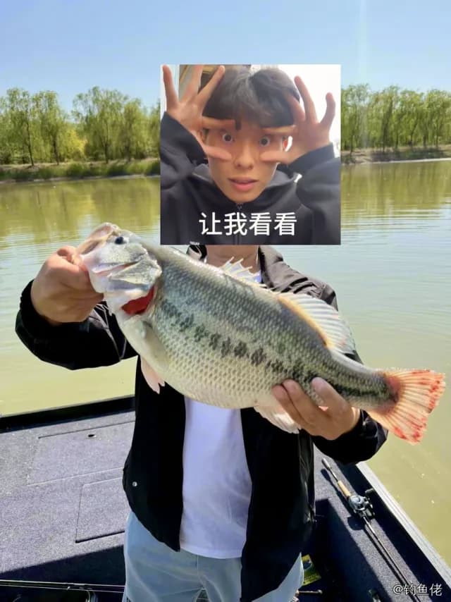 大口黑鲈钓获 北京市 1.01kg
