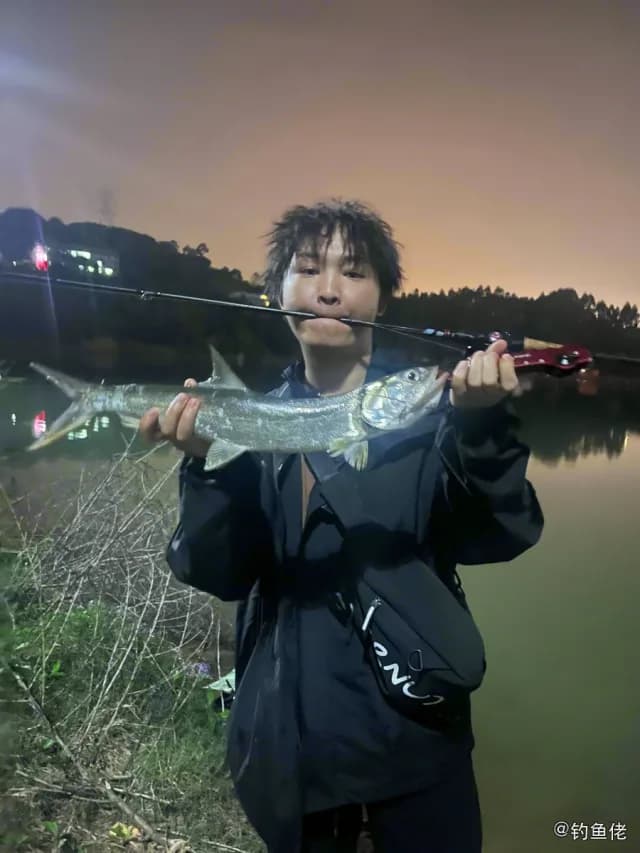 大眼海鲢钓获 厦门市 2.4kg