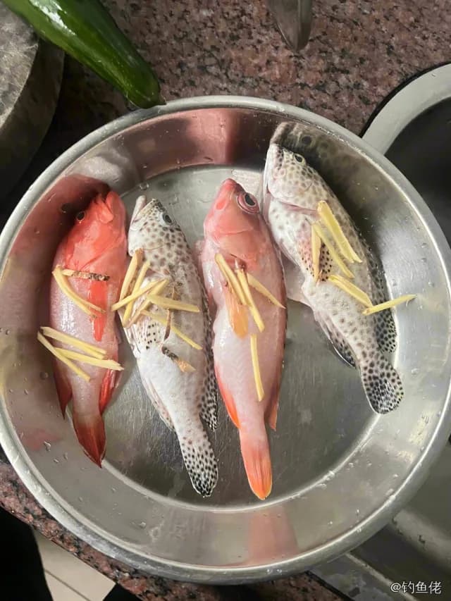 蜂巢石斑鱼钓获 中华人民共和国 0.08kg