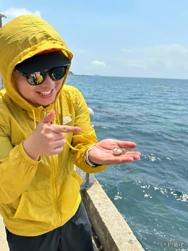 红鳍多纪鲀钓获 深圳市 0.1kg