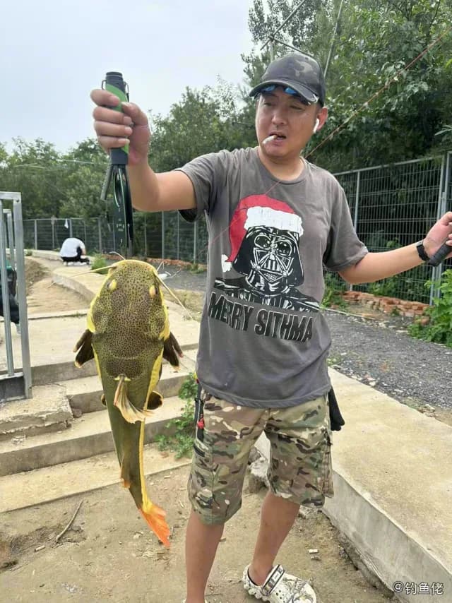 红尾护头鲿钓获 北京市 64kg